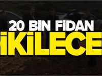 20 BİN FİDAN DİKİLECEK