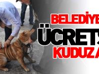 BELEDİYE'DEN ÜCRETSİZ KUDUZ AŞISI