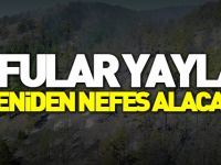 SOFULAR YAYLASI YENİDEN NEFES ALACAK
