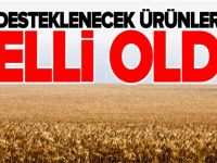 DESTEKLENECEK ÜRÜNLER BELLİ OLDU