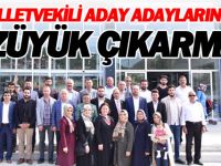 MİLLETVEKİLİ ADAY ADAYLARINDAN BOZÜYÜK ÇIKARMASI