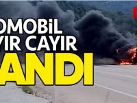 OTOMOBİL CAYIR CAYIR YANDI!