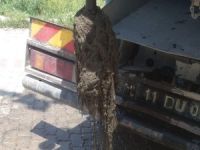 KANALİZASYONDAN ÇIKANLAR ŞAŞIRTTI