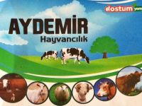 KURBANLIK SATIŞLARI BAŞLADI