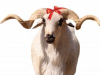 'KURBAN, ALLAH'A YAKINLAŞMAKTIR'