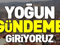 YOĞUN GÜNDEME GİRİYORUZ