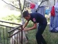 İTFAİYEDEN KEÇİ KURTARMA OPERASYONU