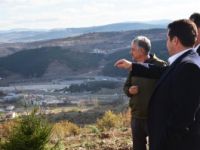 12 BİN FİDAN TOPRAKLA BULUŞTU