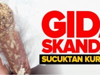 GIDA SKANDALI! SUCUKTAN KURT ÇIKTI