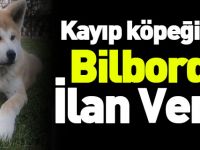 KAYIP KÖPEĞİ İÇİN BİLBORDA İLAN VERDİ