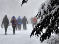 ZAFER ANITINA YÜRÜDÜLER