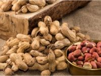 FISTIK ALIRKEN DOLANDIRILDI !