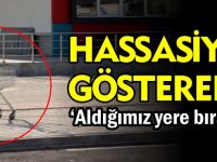 HASSASİYET GÖSTERELİM