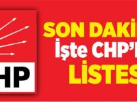 İŞTE CHP'NİN LİSTESİ