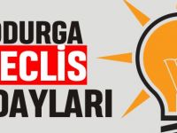 DODURGA MECLİS ADAYLARI