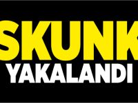 BOZÜYÜK'TE SKUNK YAKALANDI