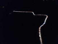 GÖNÜL KONVOYU 1270 ARAÇLIK KATILIMLA REKOR KIRDI