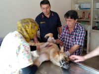 JANDARMA SAHİP ÇIKTI