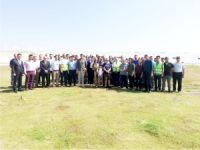 KİPAŞ KAĞIT TAM KAPASİTEYE ULAŞTI