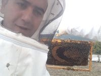 ARILAR TÜRK BAYRAĞI ÇİZDİ