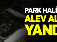 PARK HALİNDE ALEV ALEV YANDI!