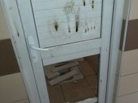 ŞEHİR MAGANDALARI İŞ BAŞINDA