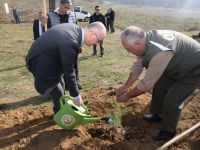 11 MİLYON AĞAÇ FİDANI TOPRAKLA BULUŞTU
