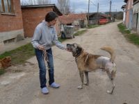 “KAPLAN” SAĞLIĞINA KAVUŞTU