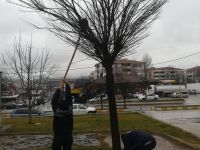 BELEDİYEDEN GÜLÜMSETEN DAVRANIŞ