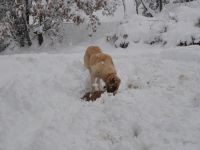 CAN DOSTLARIMIZ UNUTULMADI