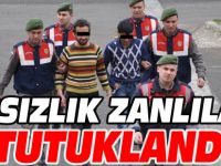 HIRSIZLIK ZANLILARI TUTUKLANDI