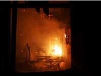 BÜYÜKBAŞ HAYVANLAR TELEF OLDU