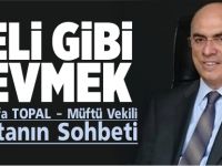 DELİ GİBİ SEVMEK