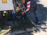 YASAKTA SOKAK HAYVANLARI UNUTULMADI