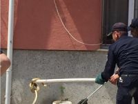 İTFAİYEDEN YILAN YAKALAMA OPERASYONU
