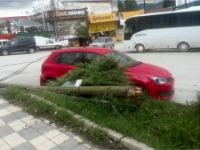 ŞANS ESERİ KİMSE YOKTU