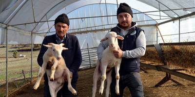 Yaz kış yaylada kalıyorlar