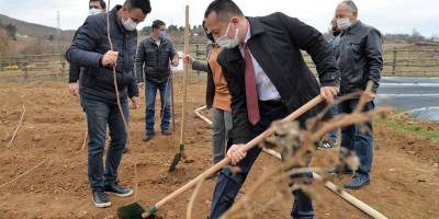 Bilecikli Çiftçinin Yeni Geçim Kaynağı