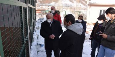 BAYILTILIP ATILAN KÖPEKLERE BELEDiYE SAHiP ÇIKTI