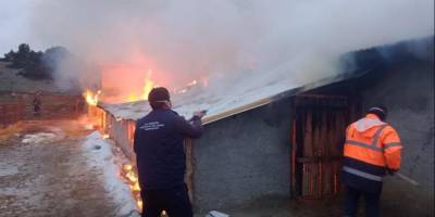 Ağılda çıkan yangında 30 küçükbaş hayvan telef oldu